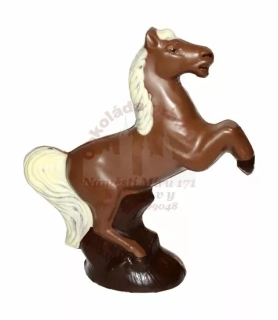 Kůň velký